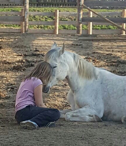 Ein berührender Moment zwischen einem Mädchen und einem weißen Pferd im Herzraum